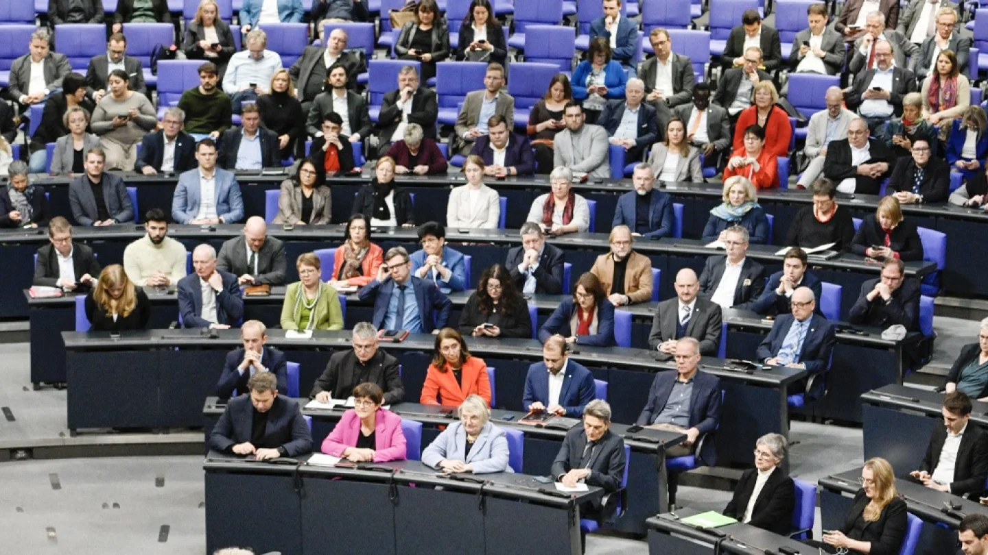 Die Linke / foto:AFP