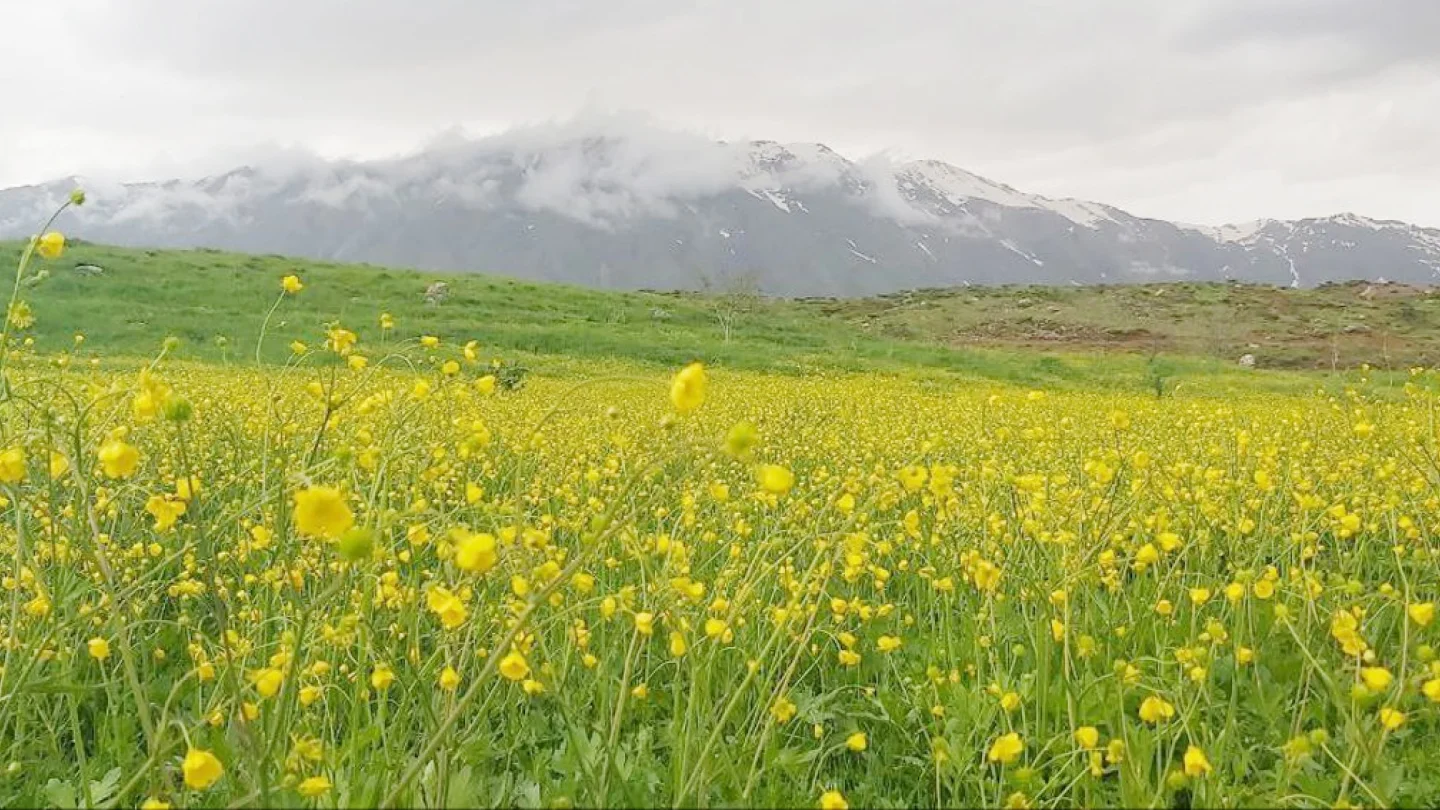 Dersim