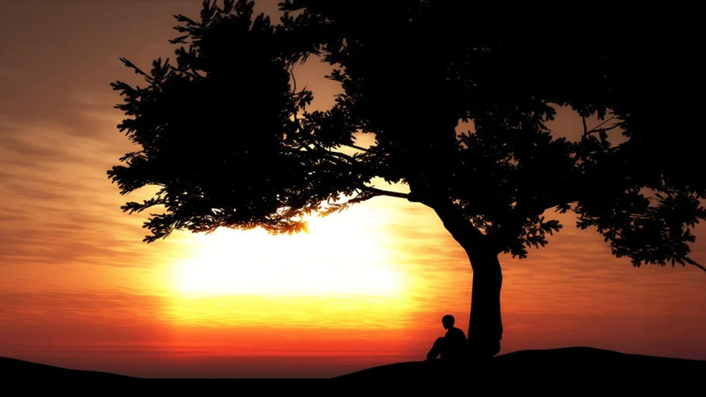 Günbatımı/foto:freepik