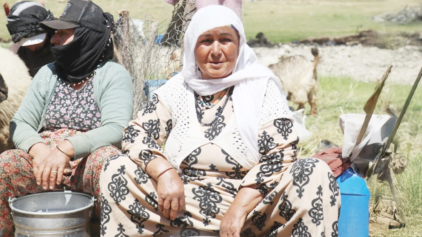 Koçer Bor