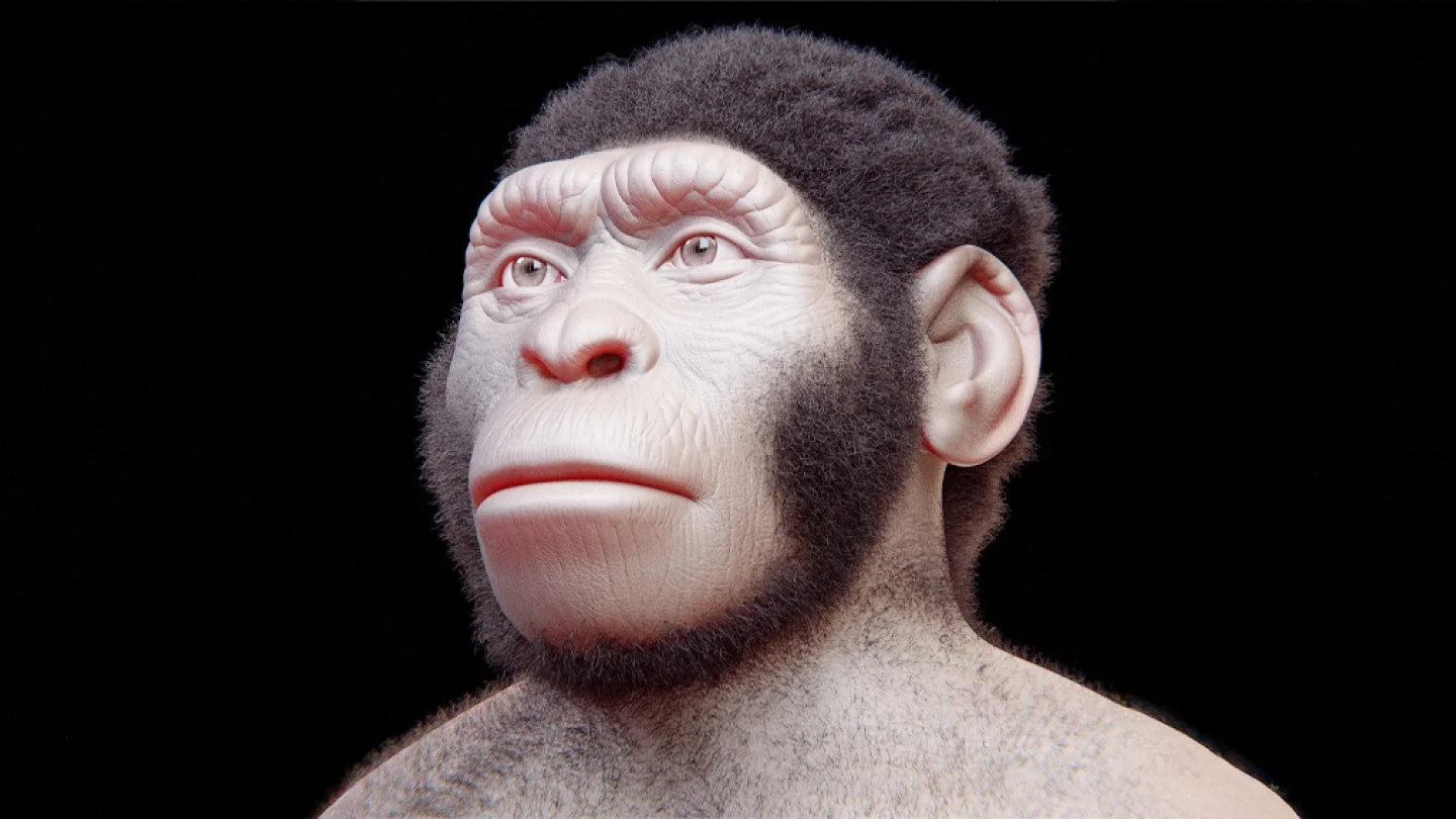Homo naledi
