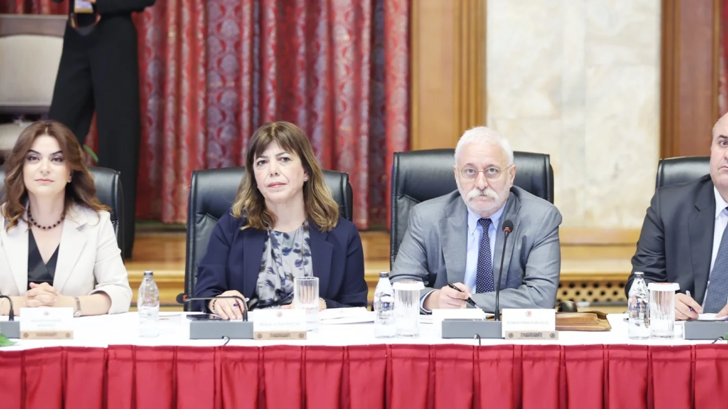 DEM Parti komisyon