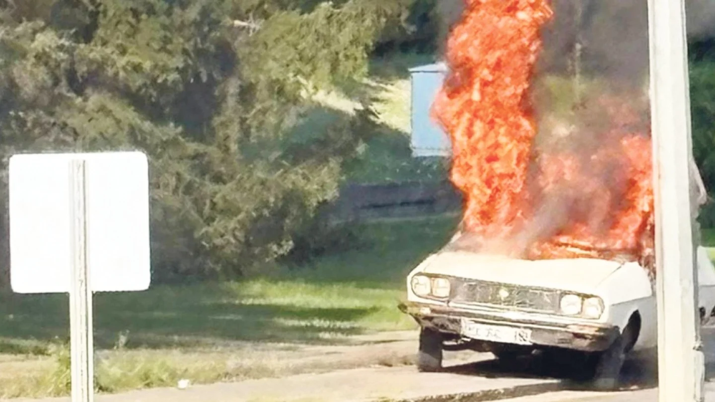 Meclis önünde yakılan beyaz toros