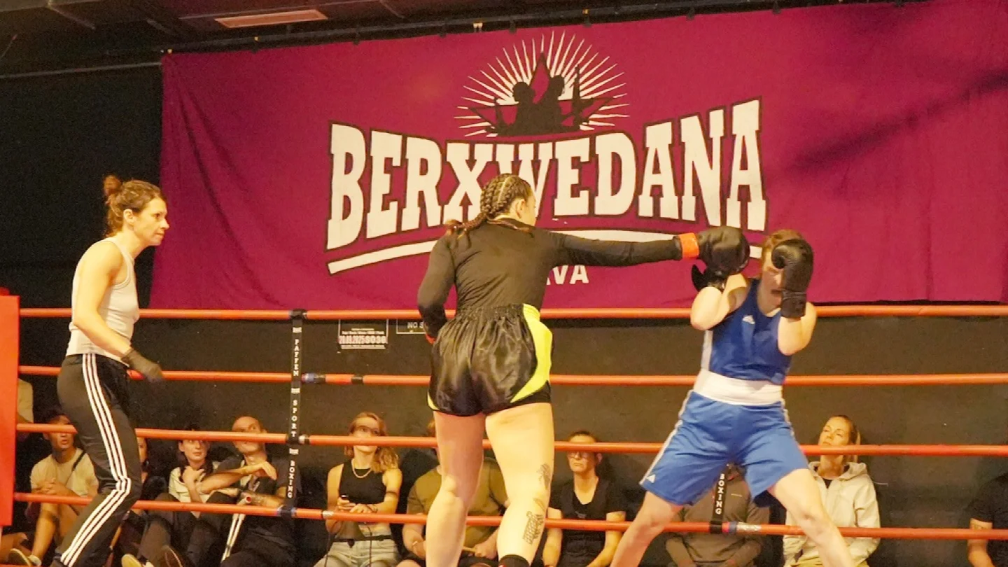Thirtysix Fights