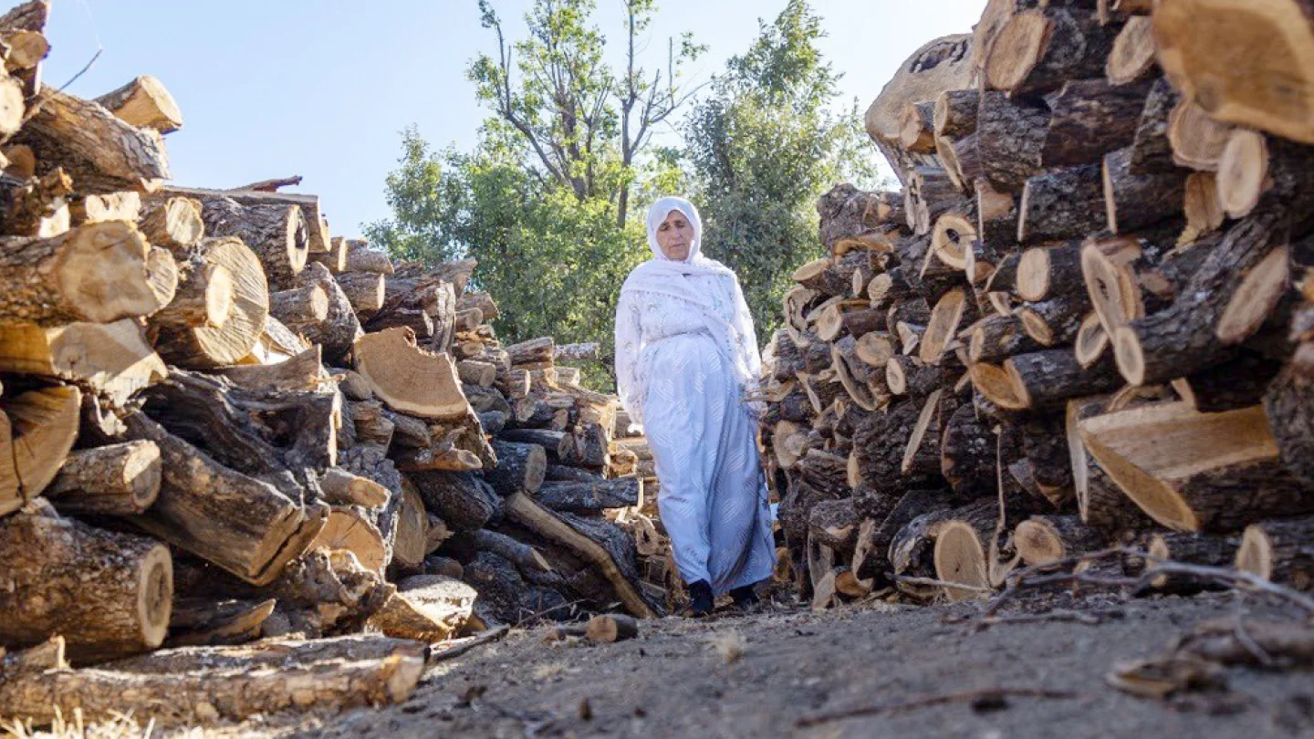 Kürdistan doğa talanı/ foto:Metin YOKSU