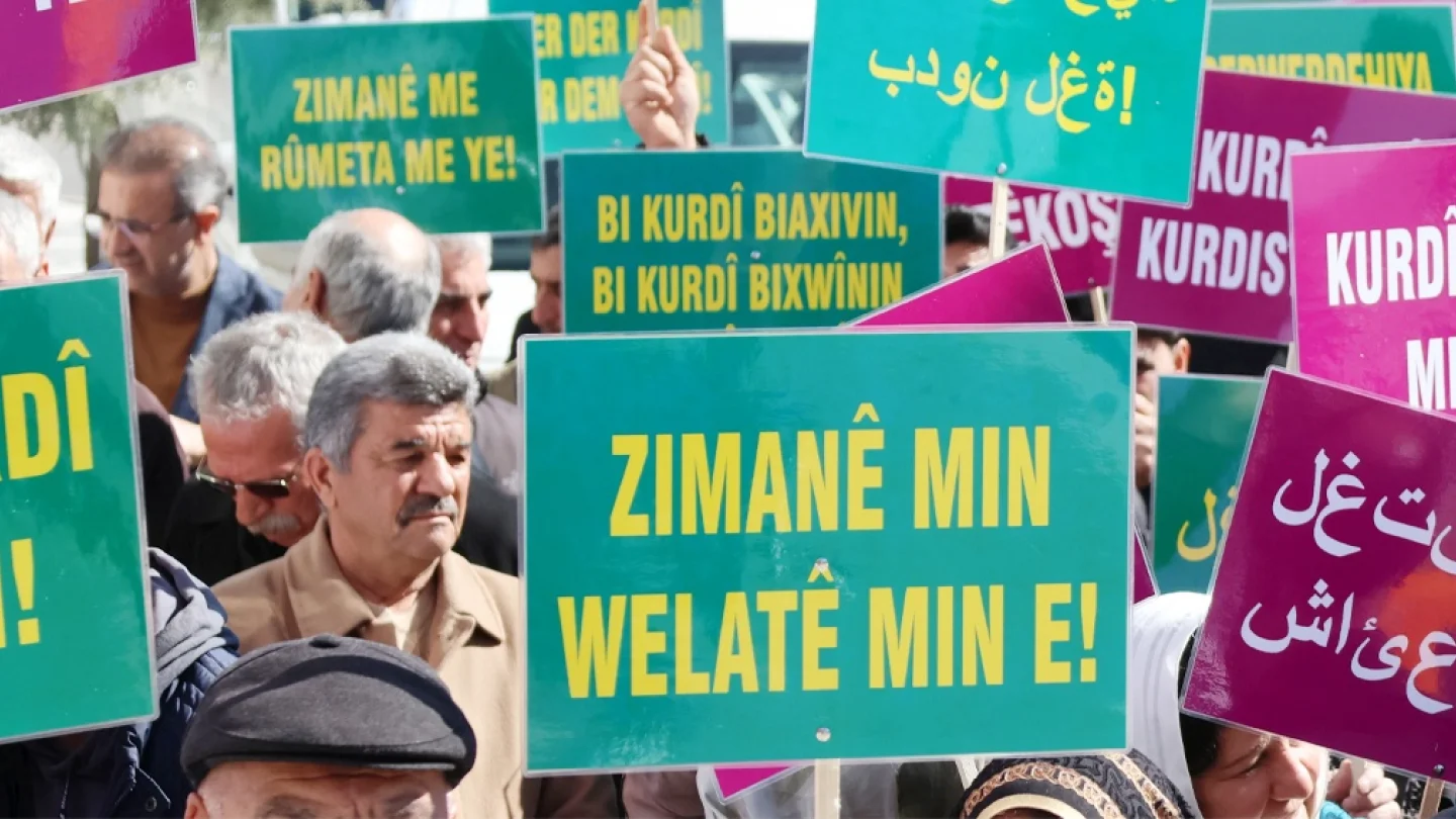 Anadil eylem