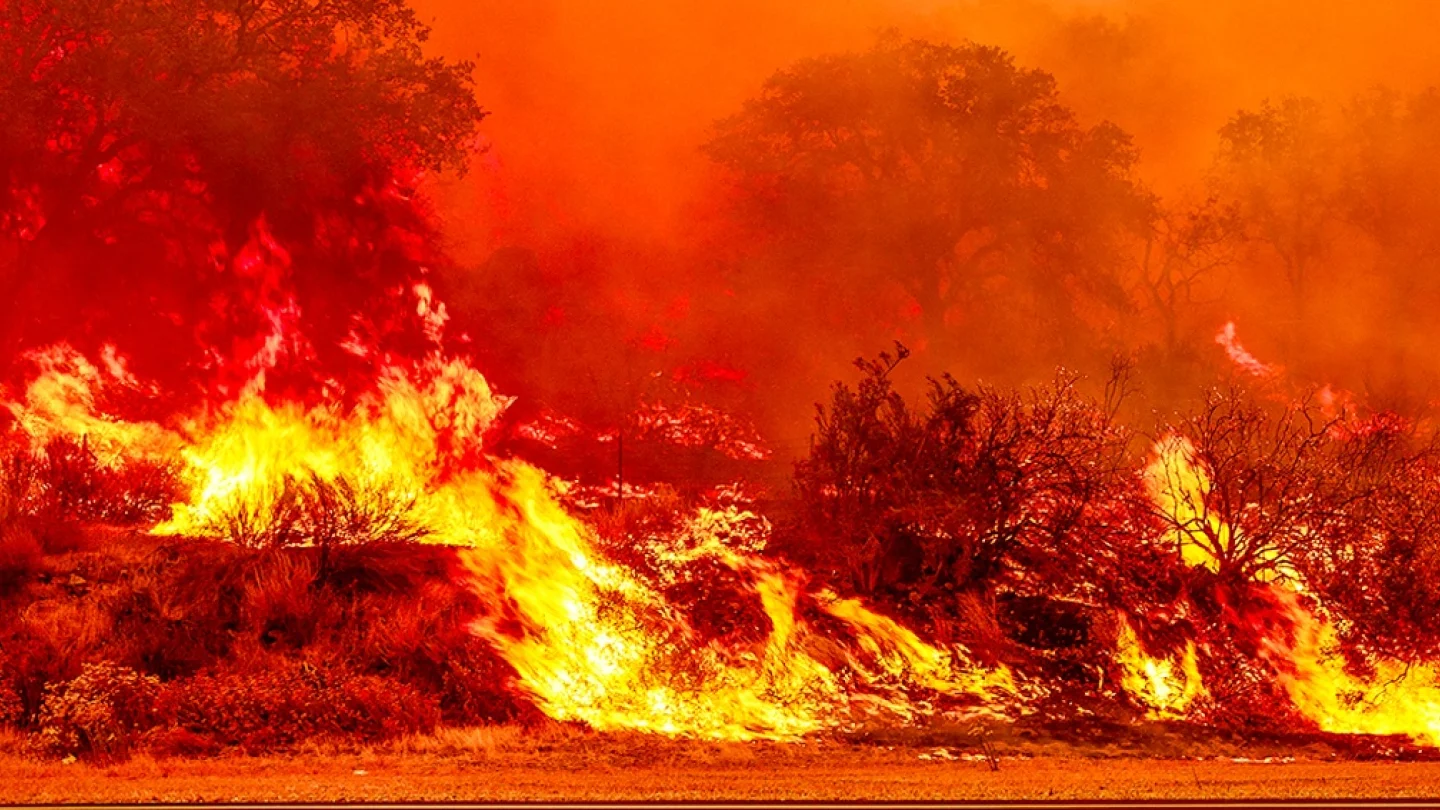 İklim krizi / foto:AFP