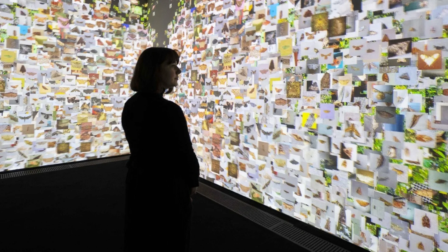 Digital kadın düşmanlığı / foto:AFP