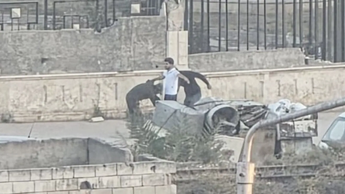 Ebdo Merwan tutuklama