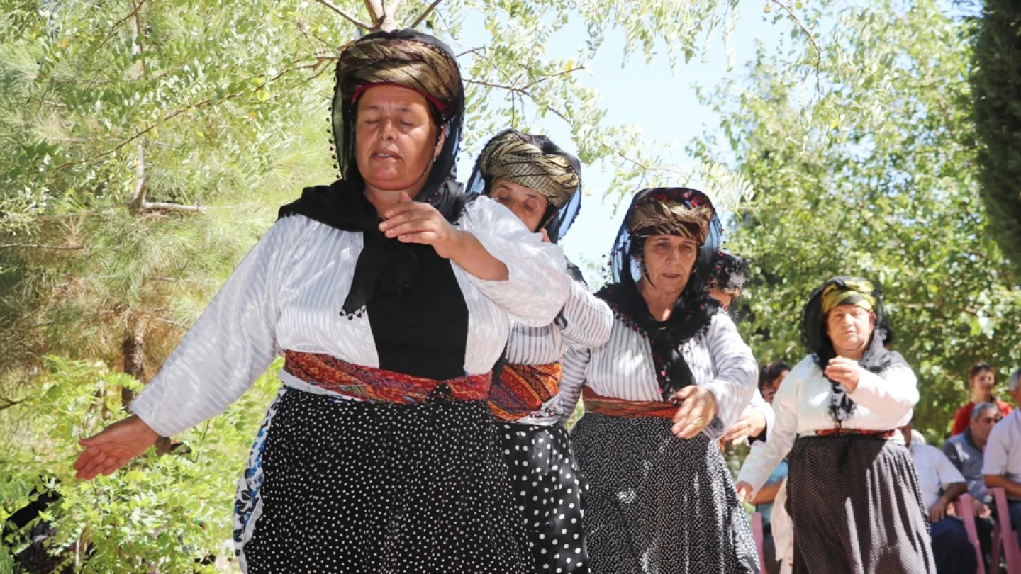 Aleviler