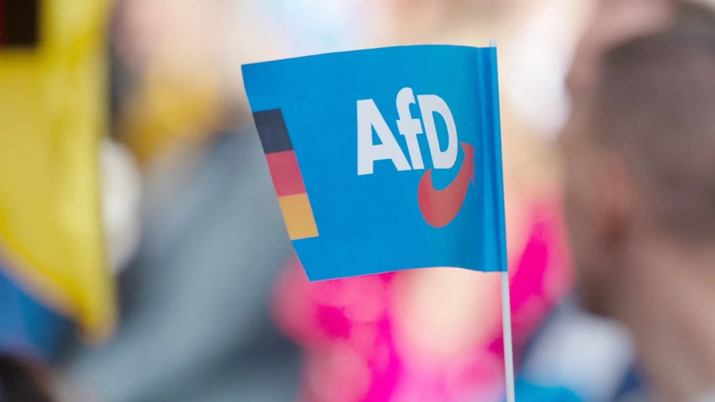 AfD / foto:AFP