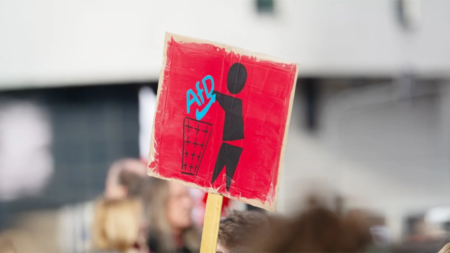 AfD / foto:AFP