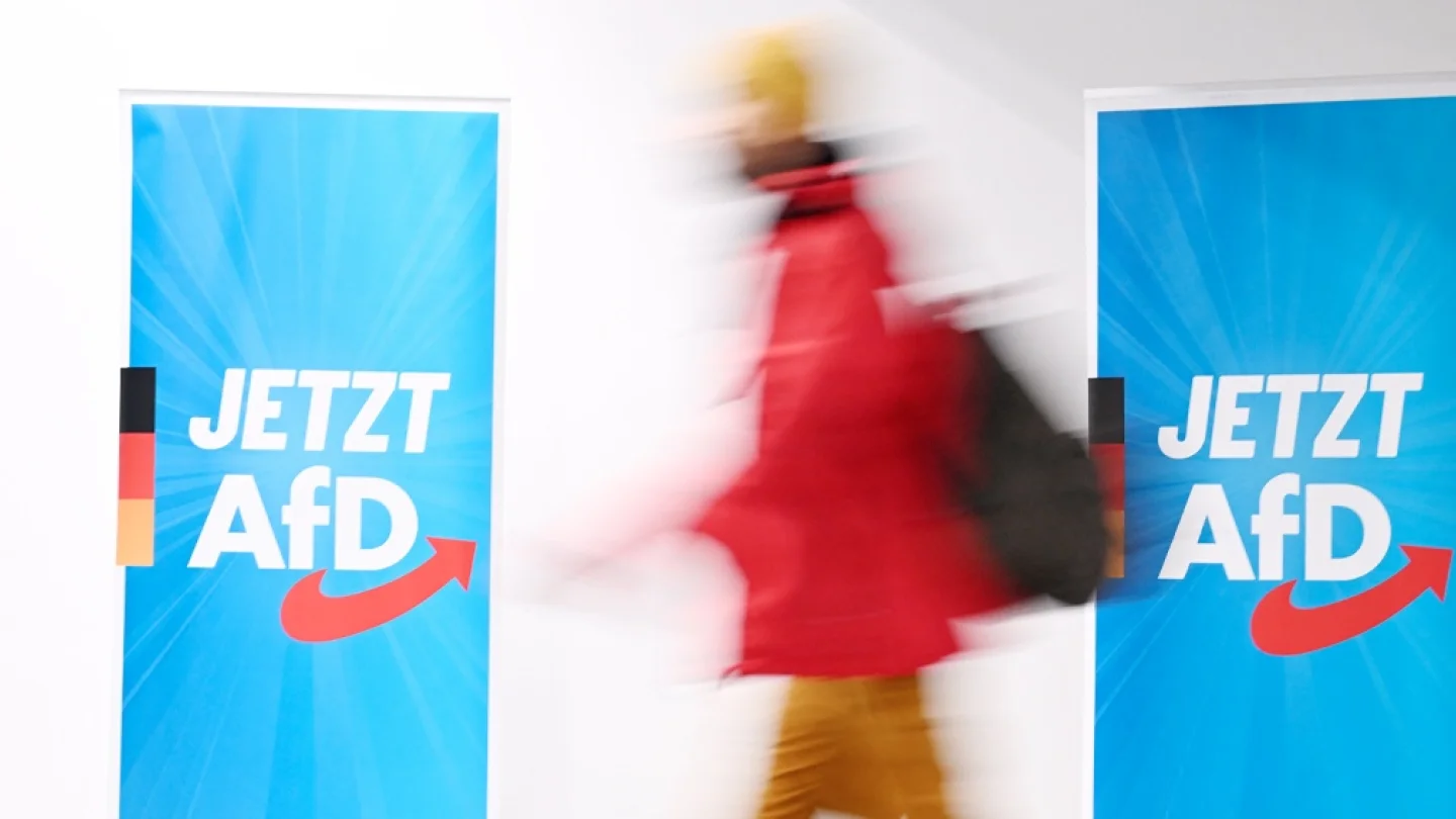 AfD / foto:AFP