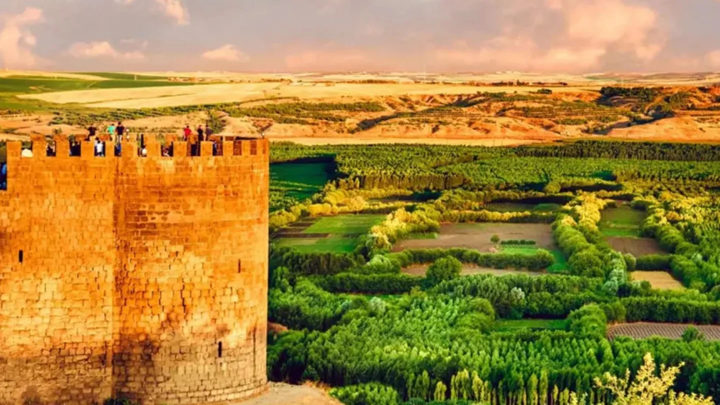 Amed