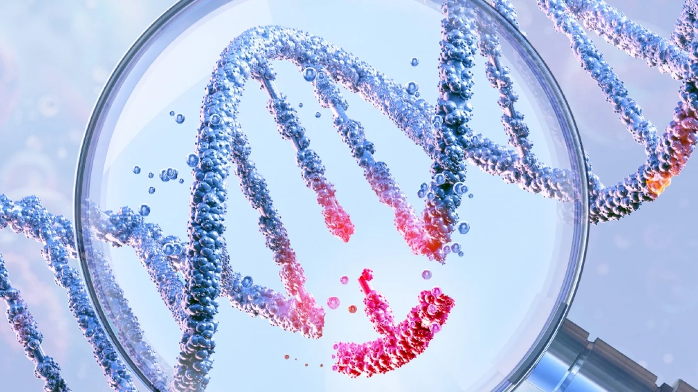 DNA / foto:AFP