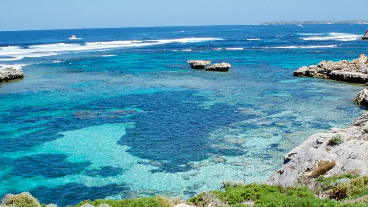 Rottnest adası/foto:AFP