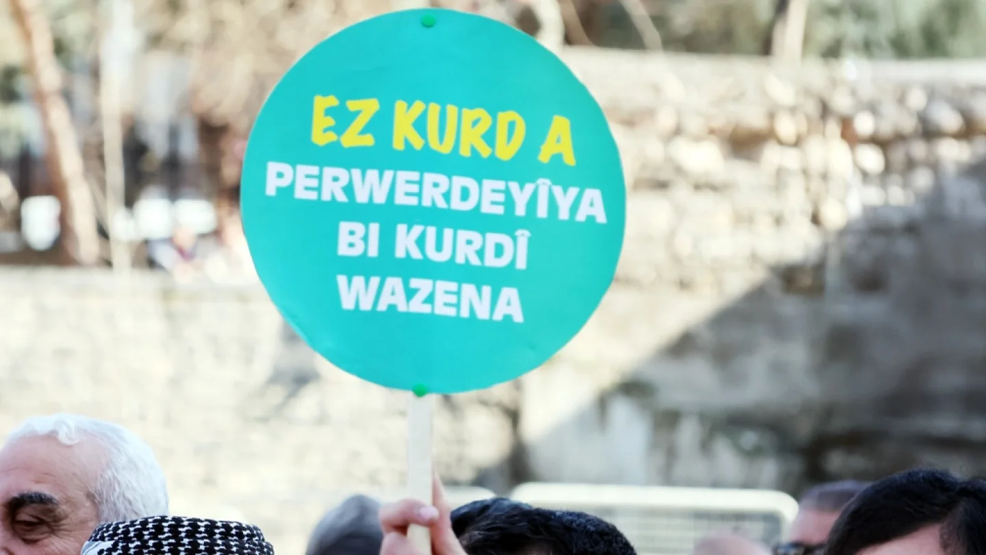Ana dil/eylem