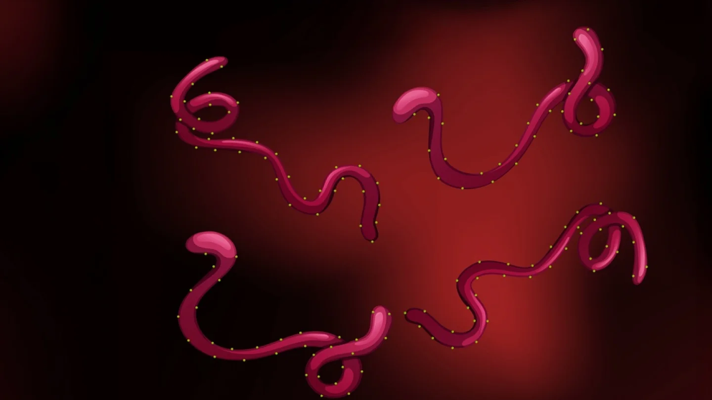 Ebola