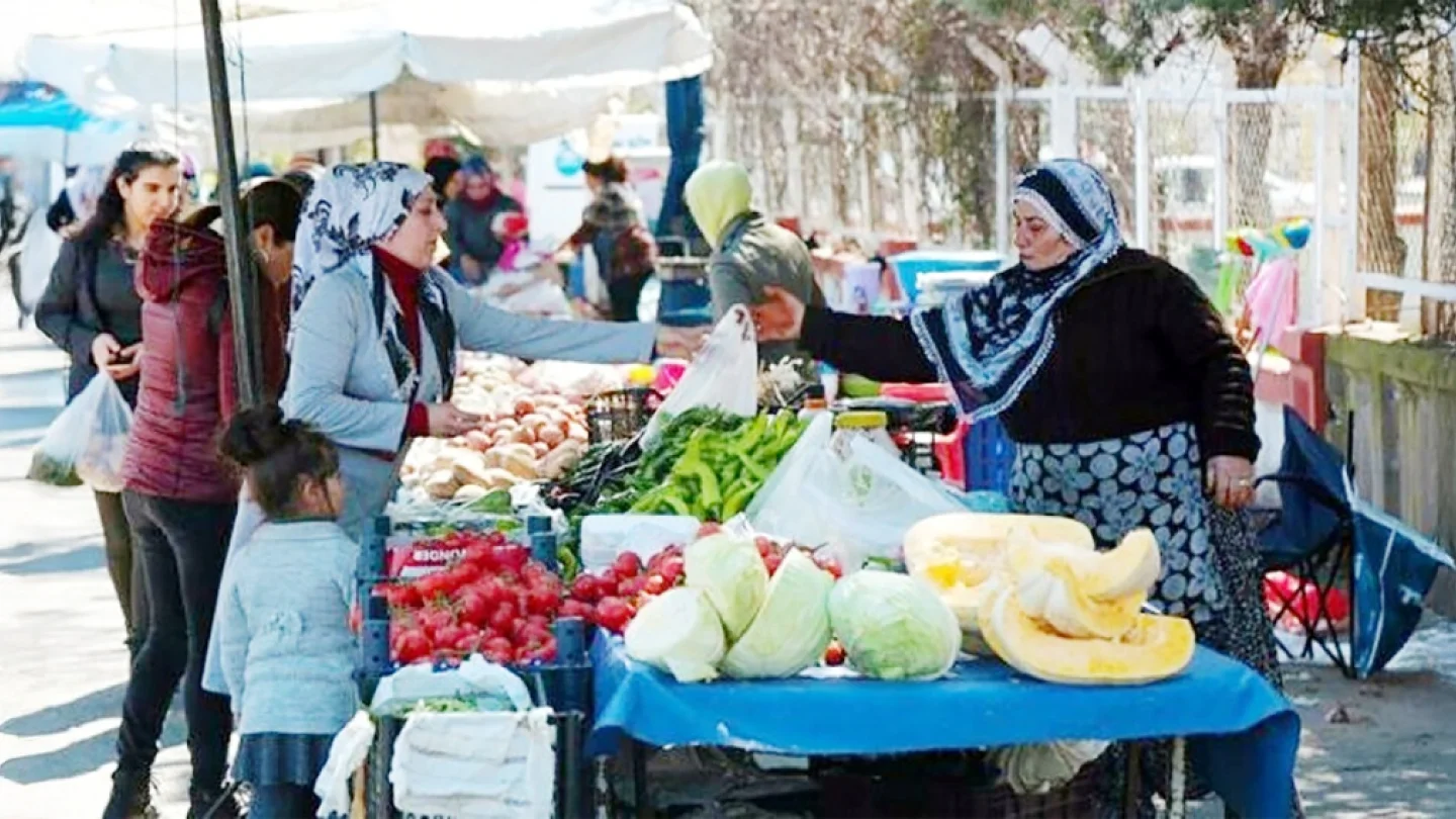 Ekonomik kriz/kadın