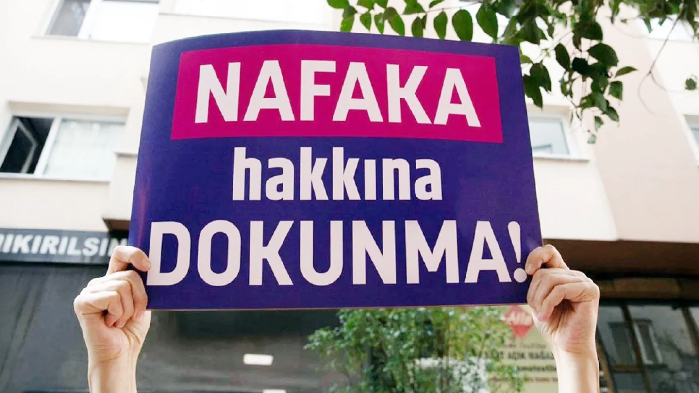 Nafaka hakkı/eylem