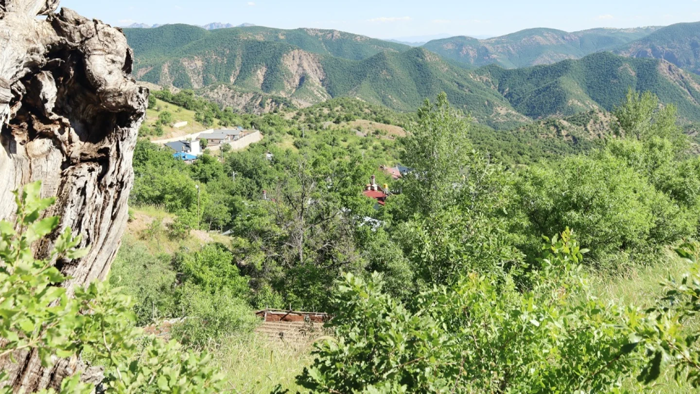 Pilvenk köyü