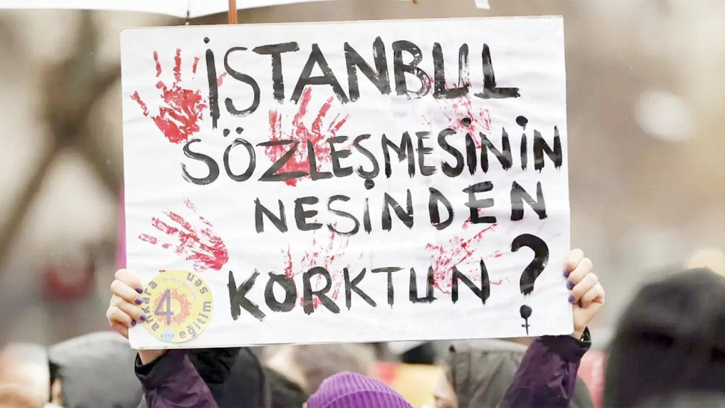 İstanbul Sözleşmesi/protesto