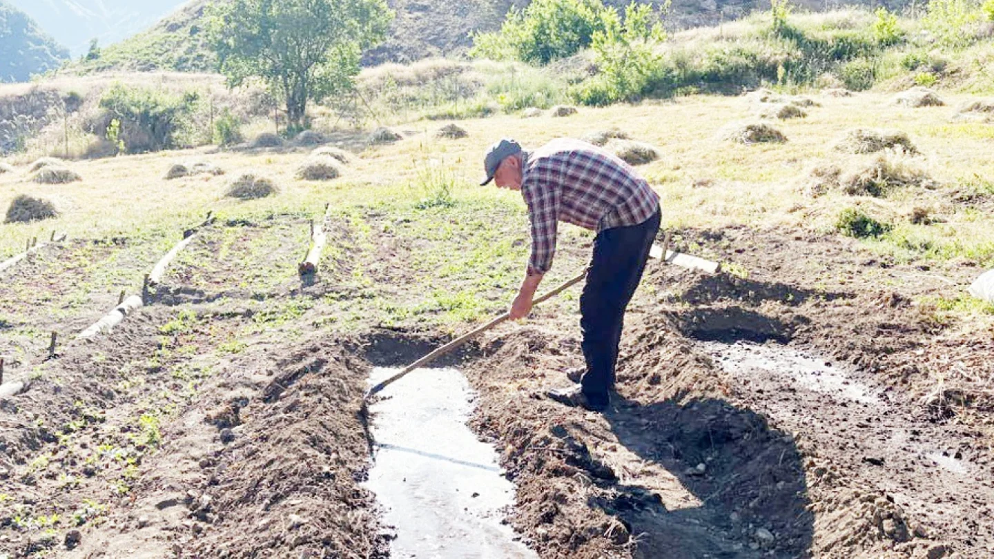 Ali Haydar İpekoğlu