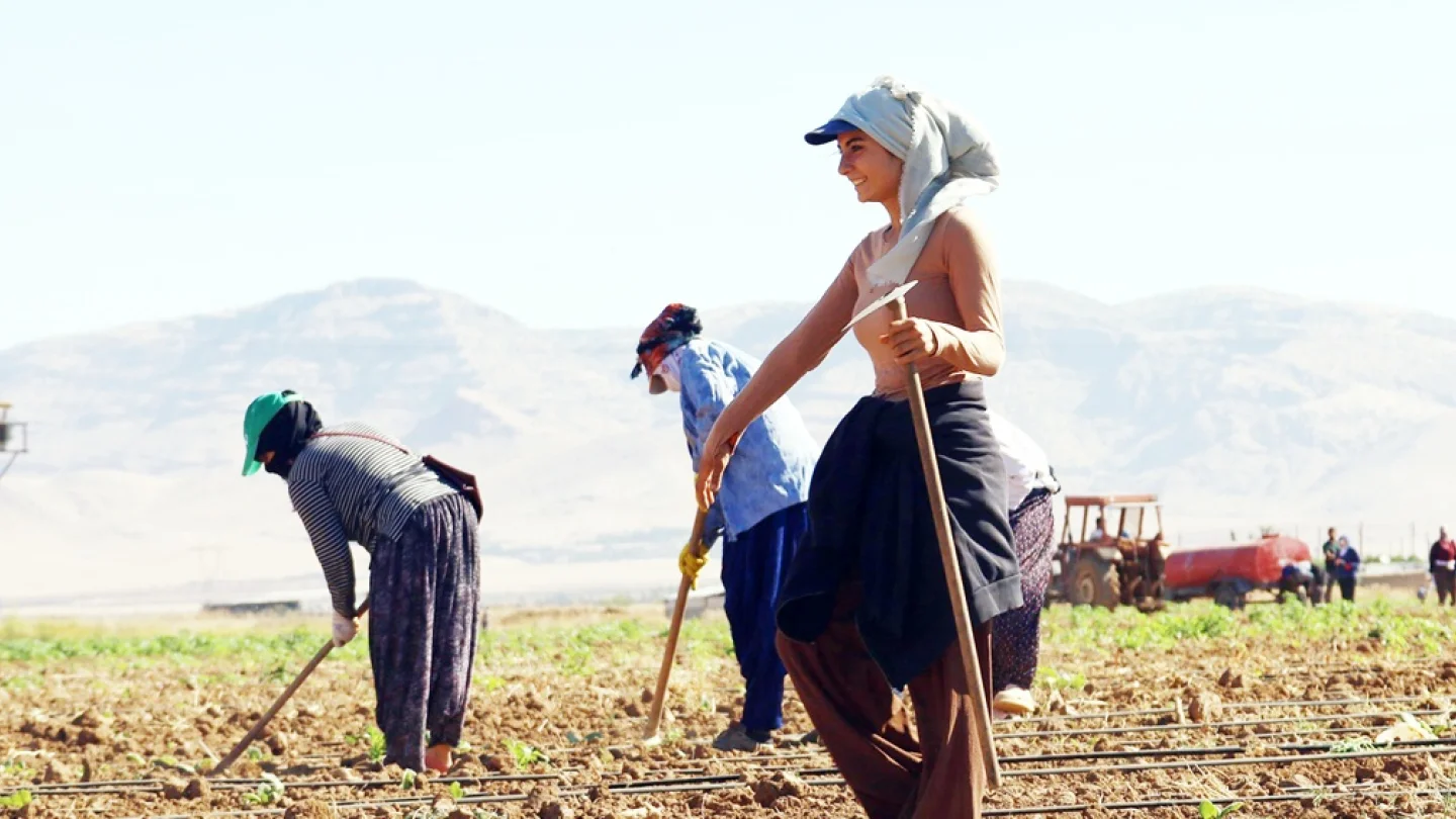 Mevsimlik işçiler/foto:Jinnews