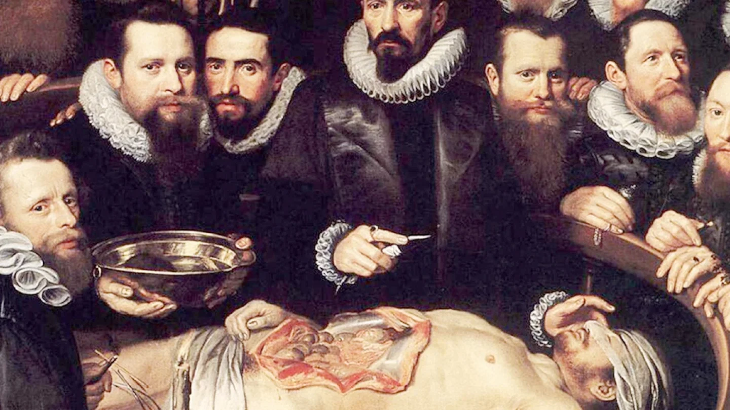 Doktor/anatomi/foto:Wikipedia