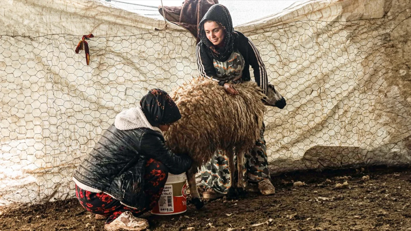 Koçerler/foto:Arzella Bektaş