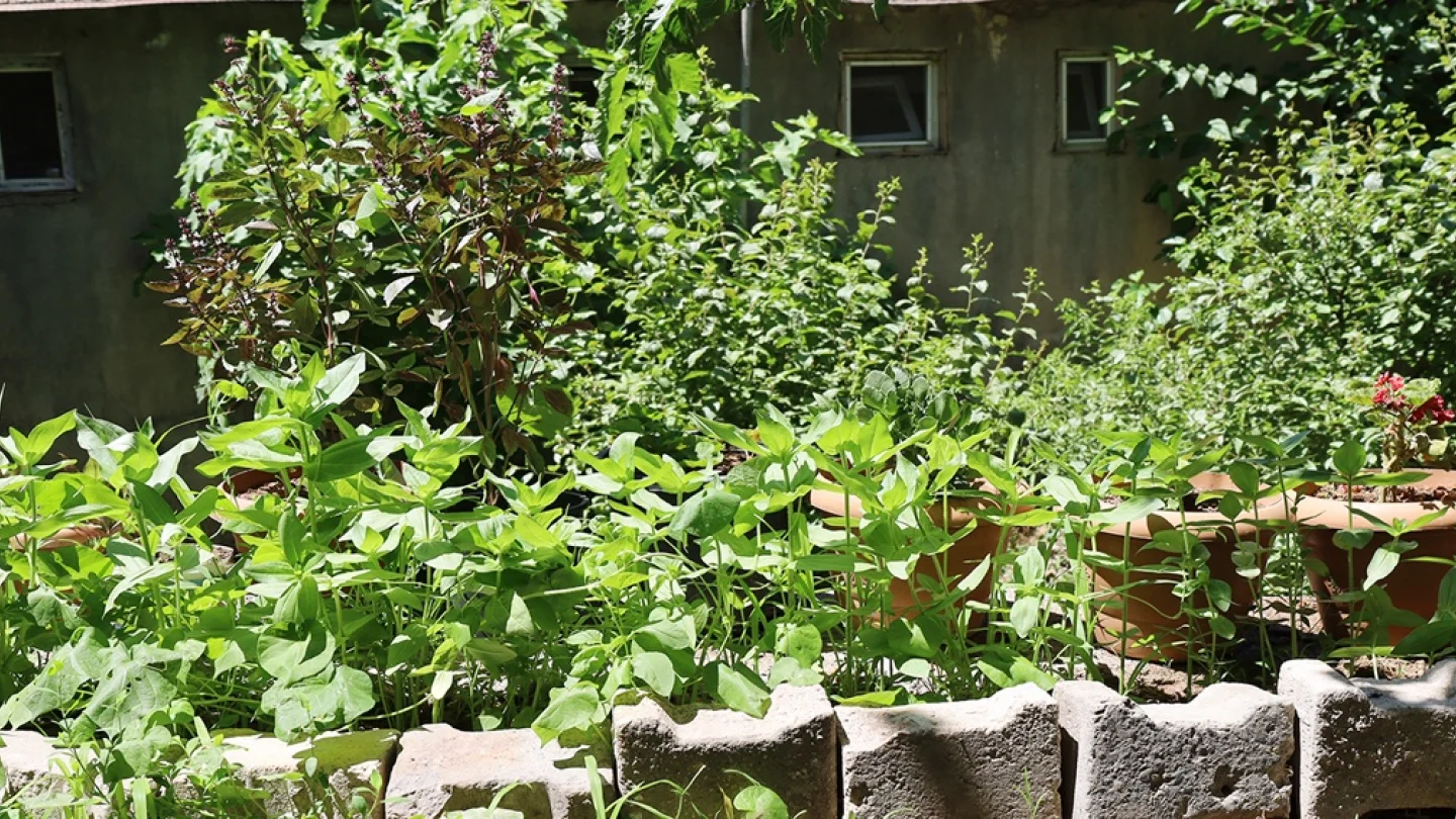 Ekoloji