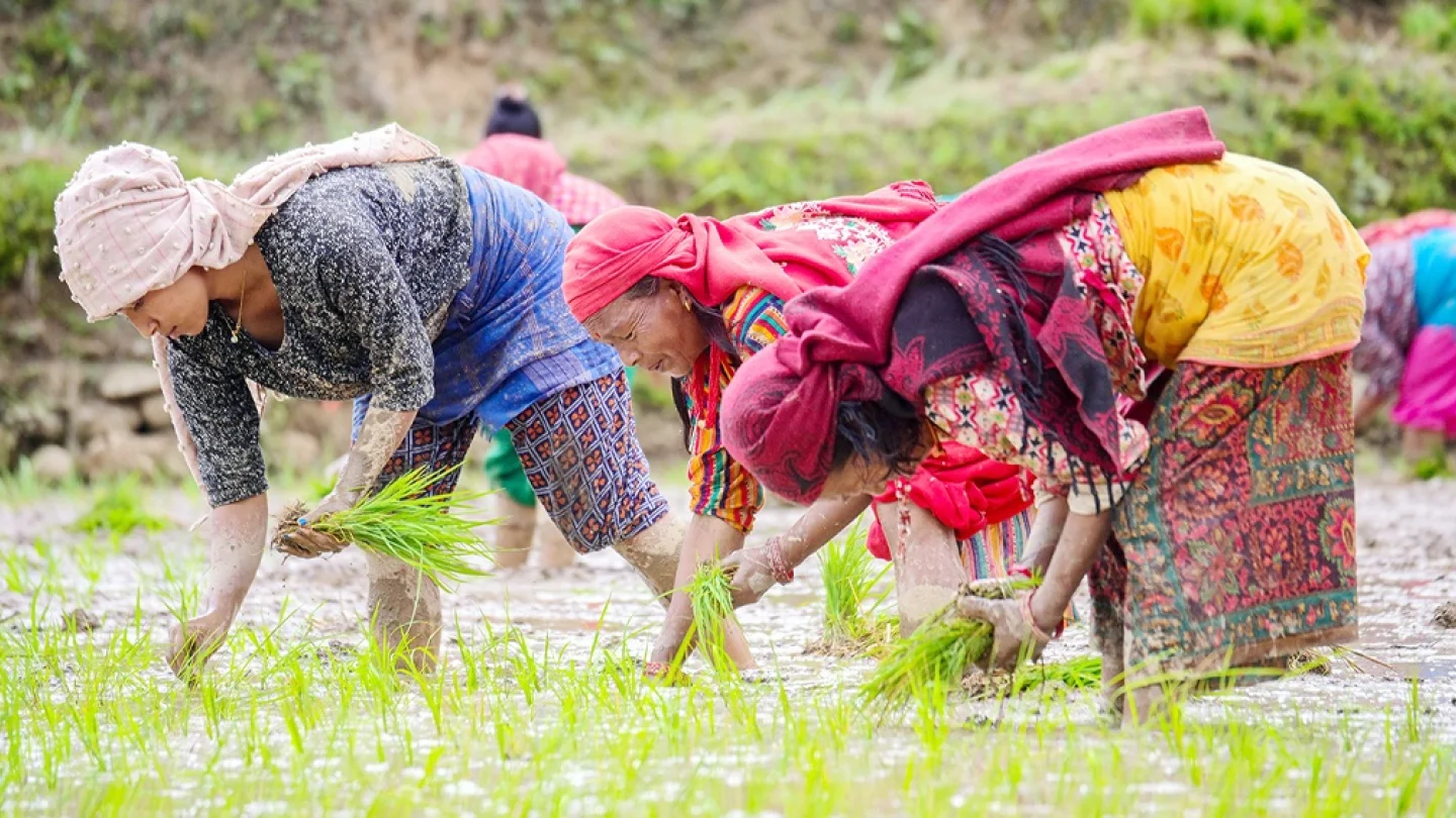 Kadın işçiler/Nepal/foto:AFP