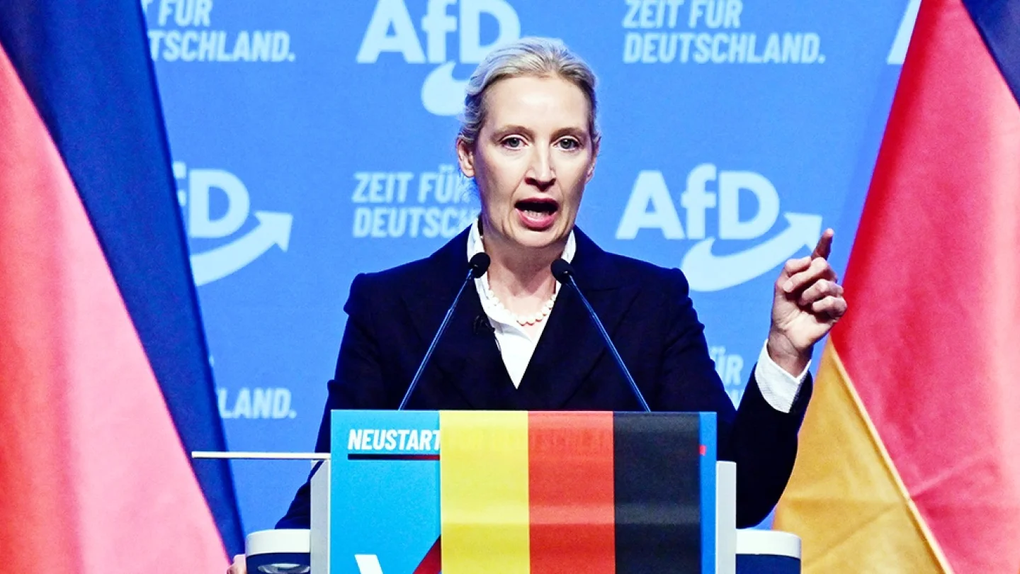 Alice Weidel/foto:AFP
