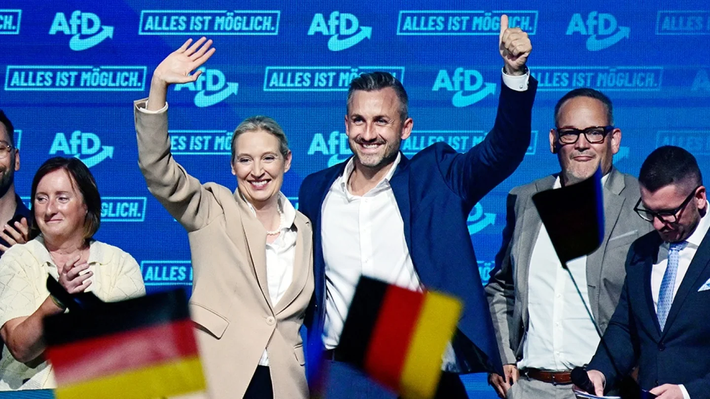 AfD/foto:AFP
