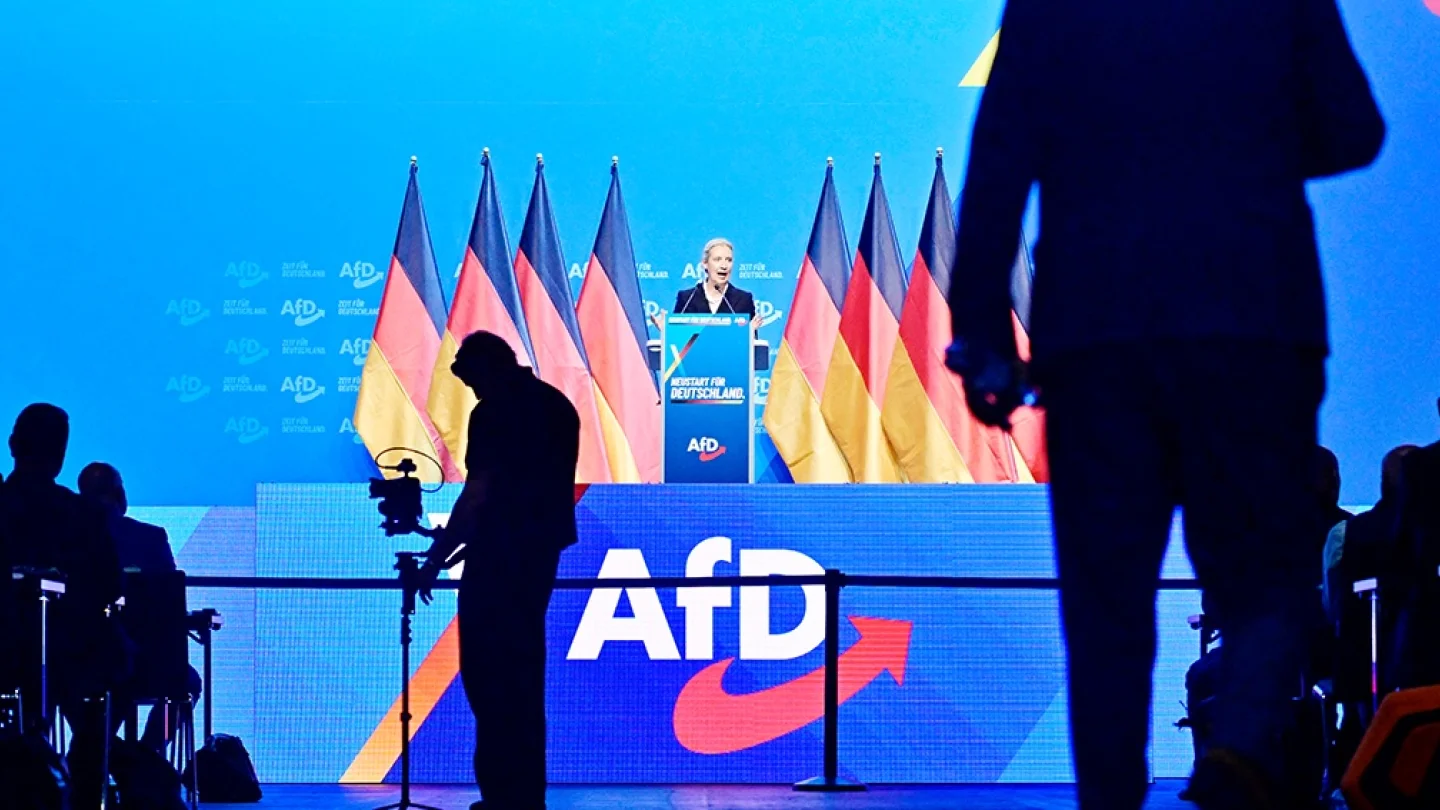 AfD/foto:AFP