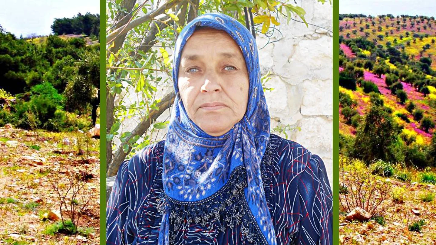 Emine Hesen -fida