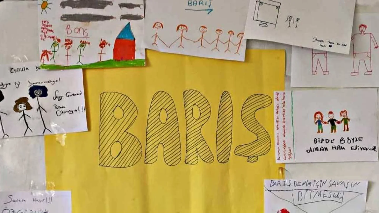 BARIS AMED