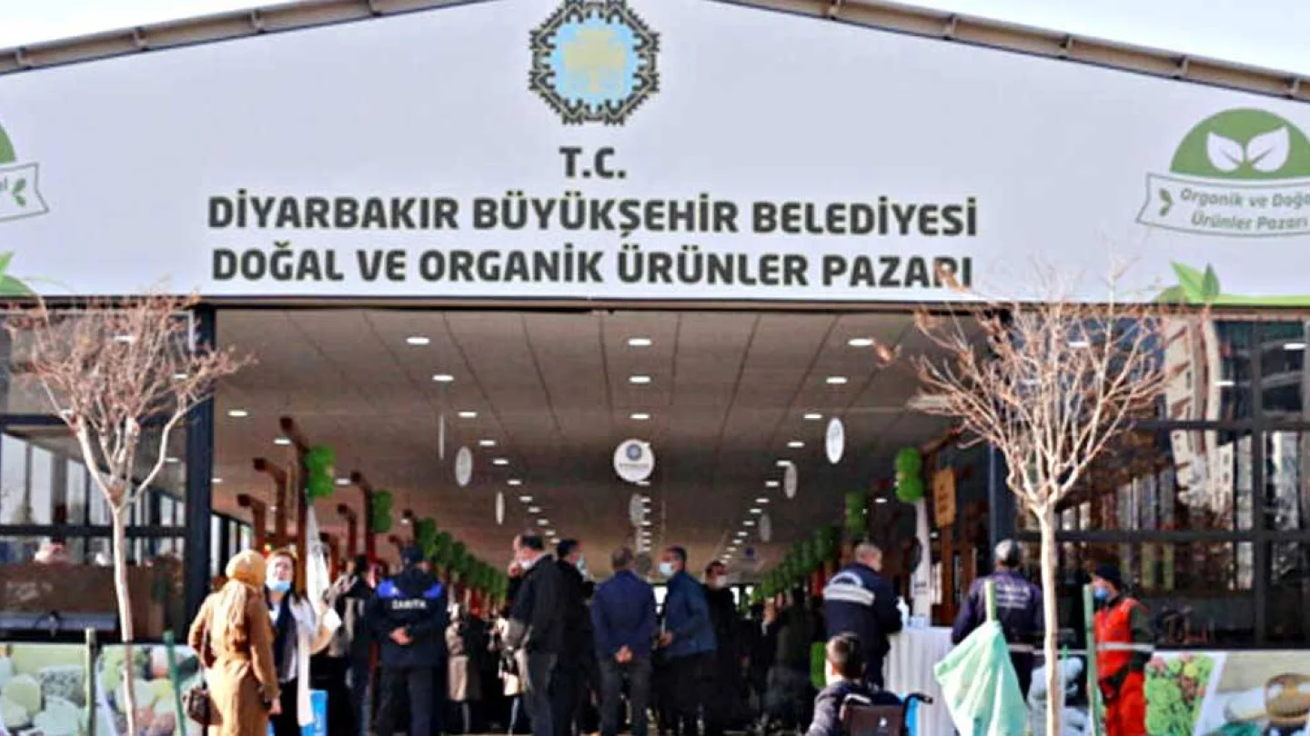 AMED KAYYIM