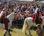 Dersim Kültür Festivali Frankfurt’ta