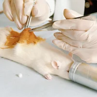 Hayvan deneyi modelleri ve yeni metodojiler