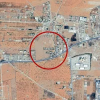 Toplu mezarda 270 cenaze