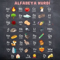 Alfabeya latînî çi bi xwe re anî ? (1)