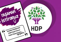 Hamburg'dan 71 vekil: Yanınızdayız