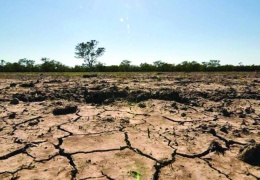 İklimin korunması mı dediniz!