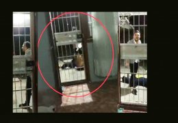 ‘Seni öldürsem en fazla 3-5 ay alırım’