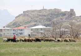 Zozanlara çıkmak için gün sayıyor 