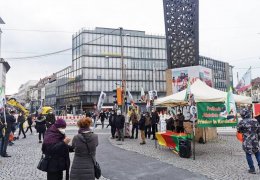 Kesintisiz tecrit protestoları