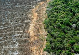 Biyoçeşitliliğe yönelik en büyük 5 tehdit
