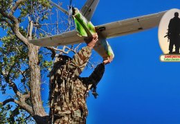 Ceng meydanına 15’ler damgası