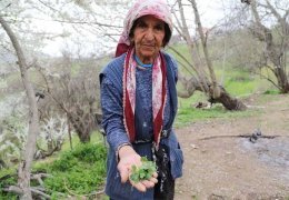 Geleneğin son temsilcileri